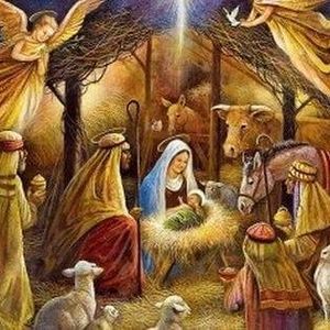 Meet your Posher, Debra